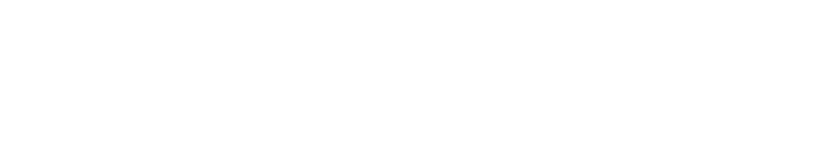 プレミアムグレードを使用したルイボスティー。