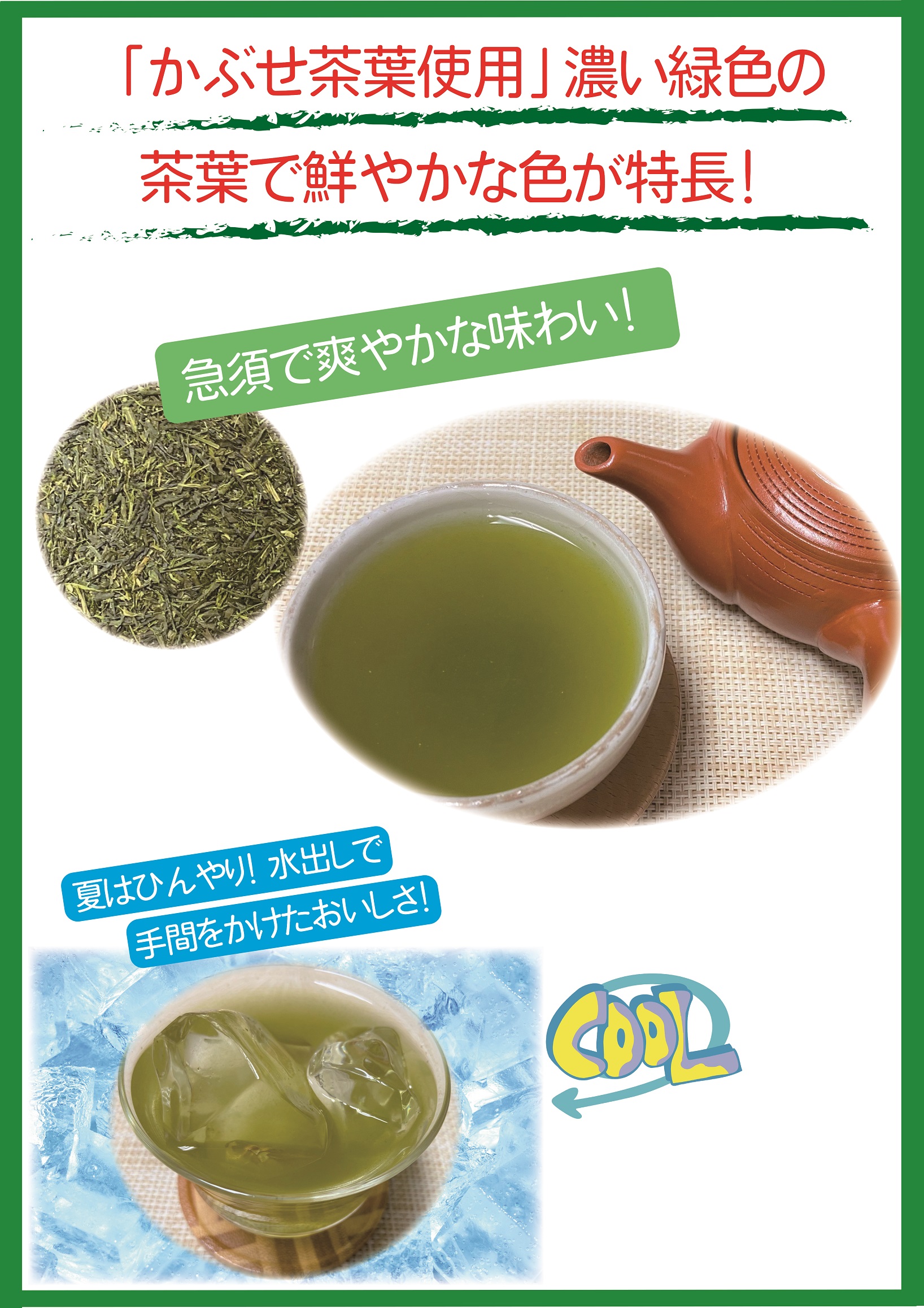 特選 嬉野茶 600g 大容量 緑茶